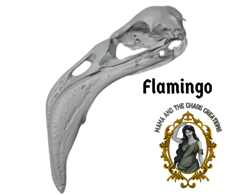 Flamingo 3D Printed Skull Bone