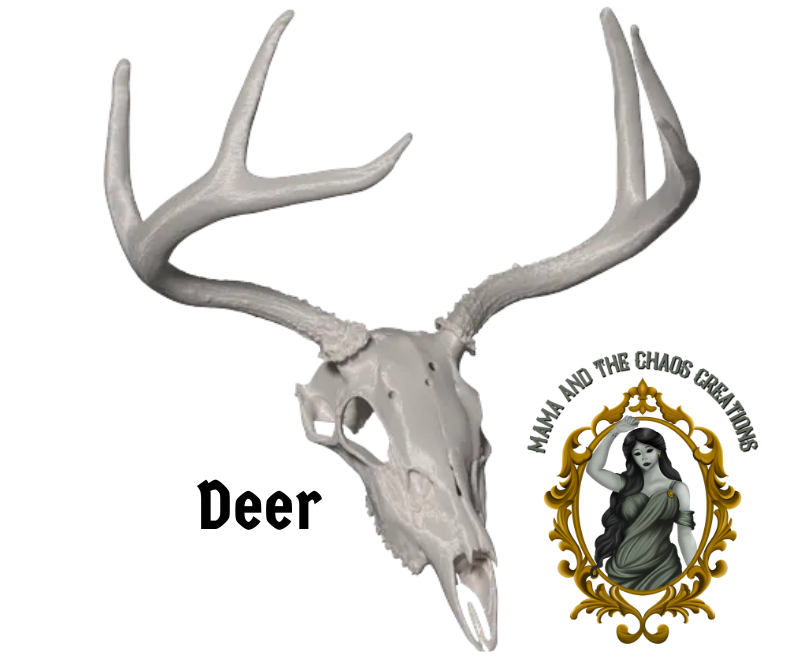 Deer 3D Printed Skull Bone