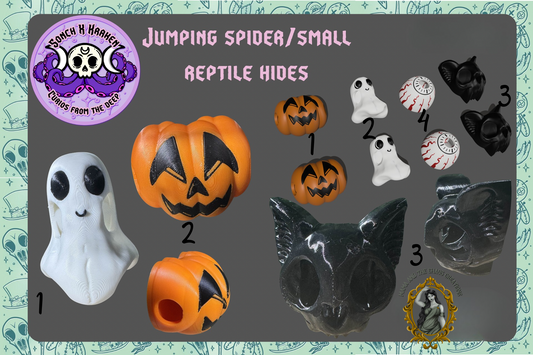 Spooky Spider Hides