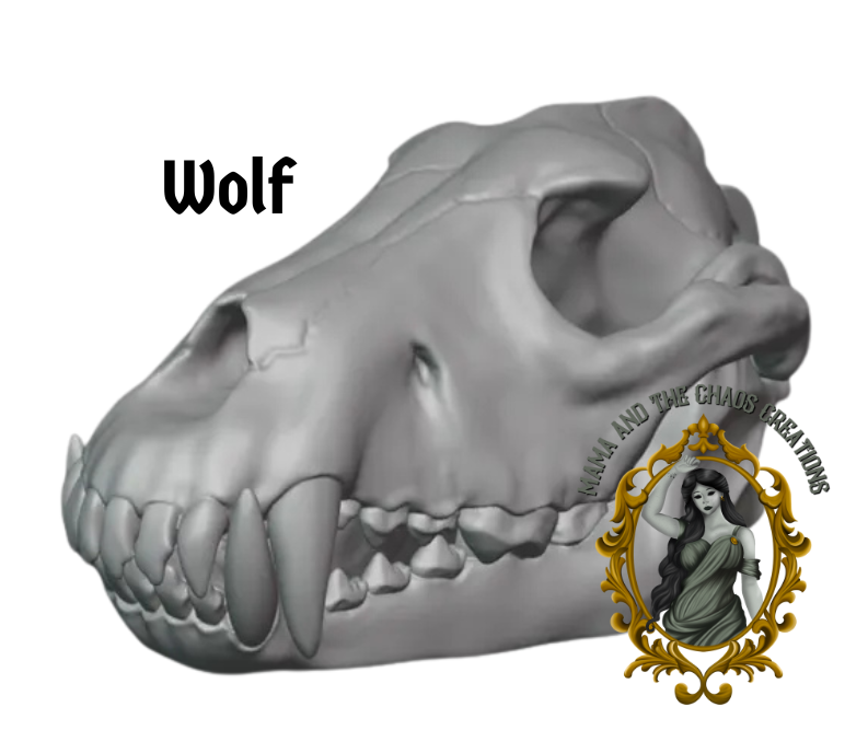 Wolf 3D Printed Skull Bone
