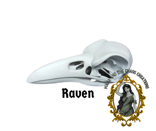 Raven 3D Printed Skull Bone