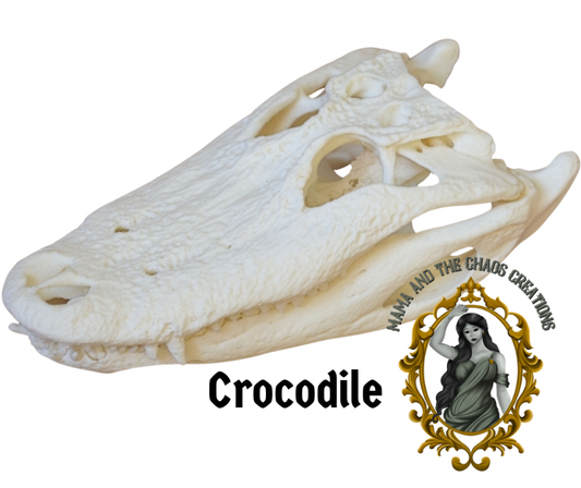 Crocodile 3D Printed Skull Bone